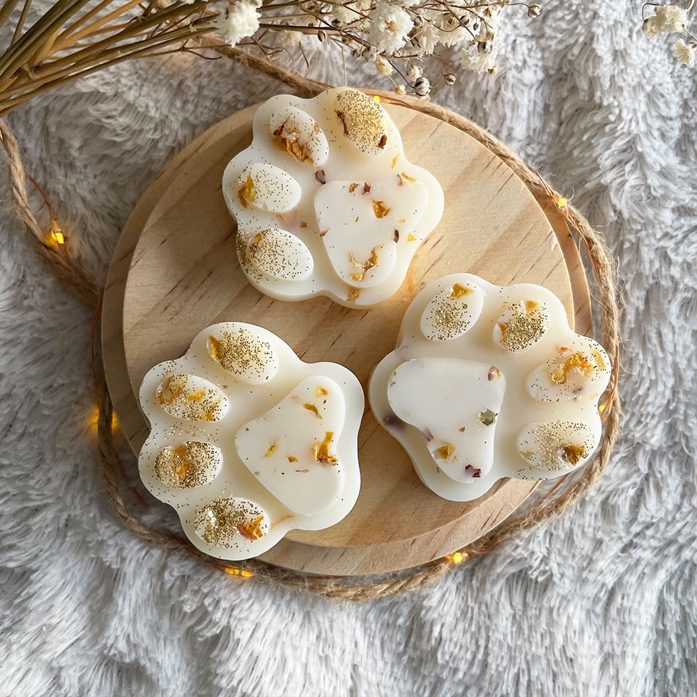 Coffret de 12 fondants de cire parfumée senteur végétale