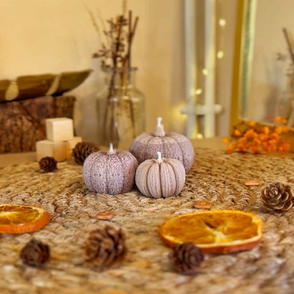 Pumpkin Spice S