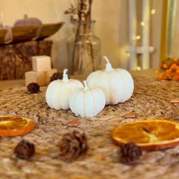 Pumpkin Spice S – Image 4